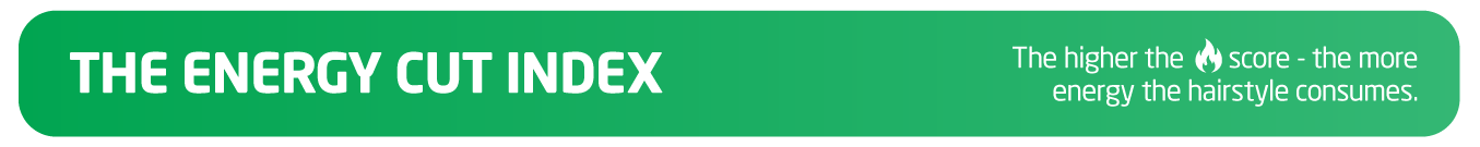 Energy Cut Index banner_explains the higher the score, the more energy the hairstyle consumes